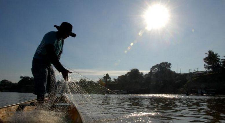 Pagamento do Seguro-Defeso Inicia Hoje para 149 mil Pescadores