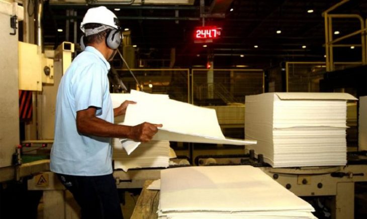 Produção florestal no Brasil alcança R$ 47,9 bilhões em 2025
