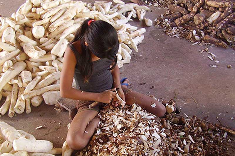 Trabalho infantil no Brasil atinge menor índice desde 2016