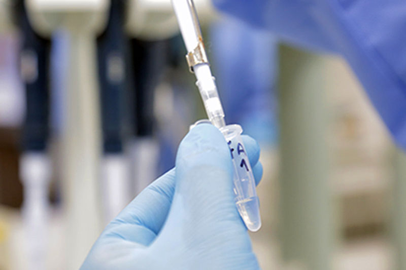 Febre do Nilo Ocidental: Brasil registra 4 casos, incluindo 2 em SP