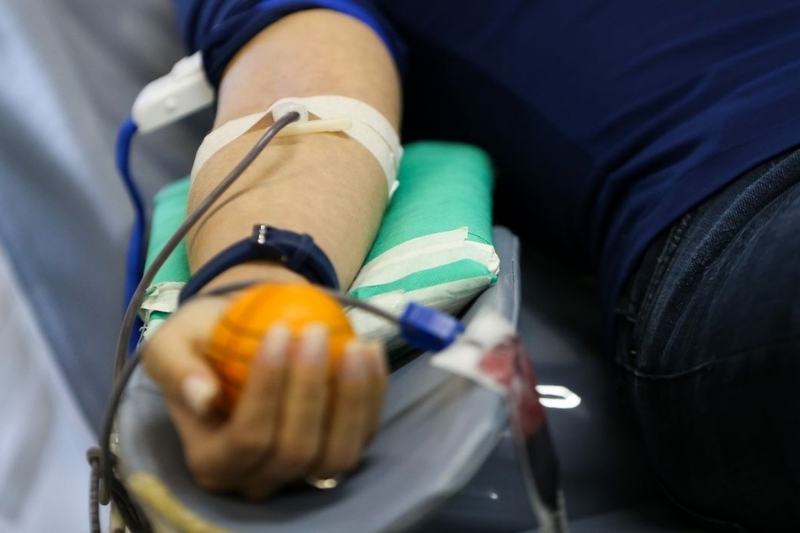 Testemunhas de Jeová permitem escolha sobre doação e recebimento de sangue