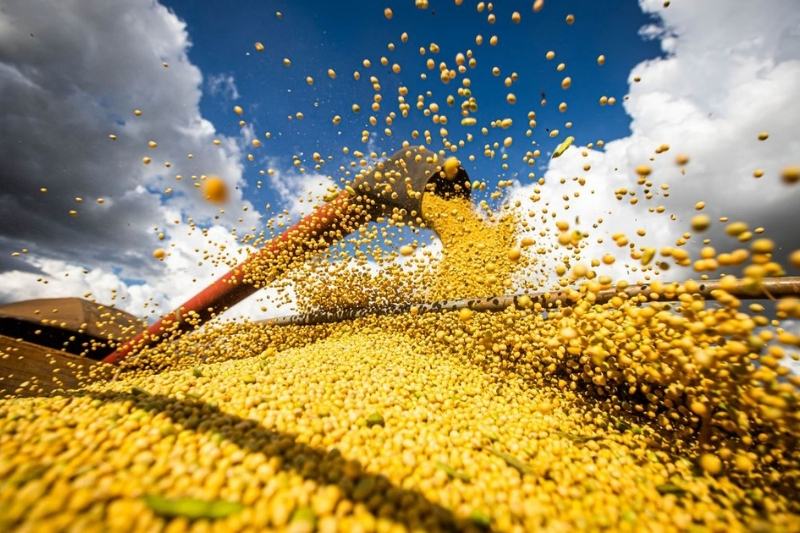 Produção agrícola brasileira atinge recorde em valor comercializado