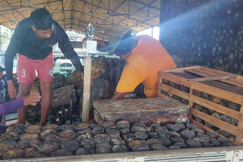 Senado aprova pagamento de abono natalino a soldados da borracha