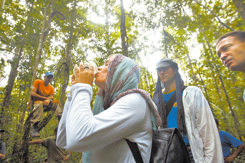 MPF sugere revisão das normas sobre o uso do chá de ayahuasca no Brasil