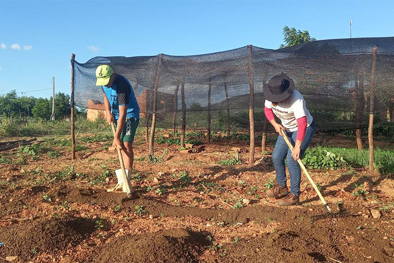 Mulheres lideram a produção em 19% das propriedades rurais no Brasil