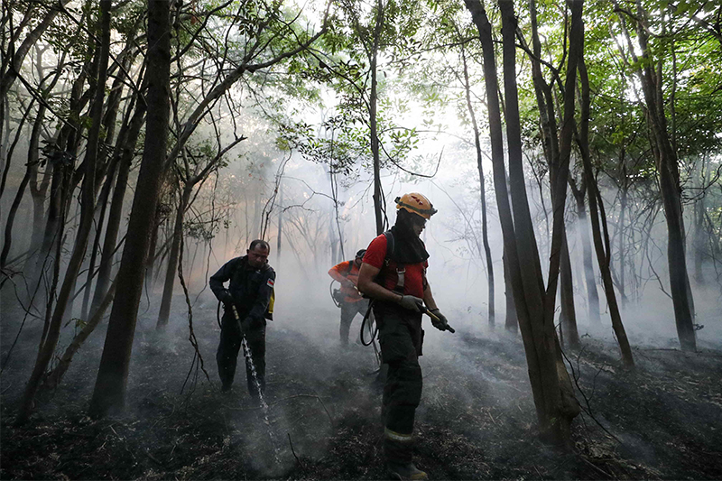 Governo Federal Reforça Combate a Incêndios no Amazonas com Novos Bombeiros