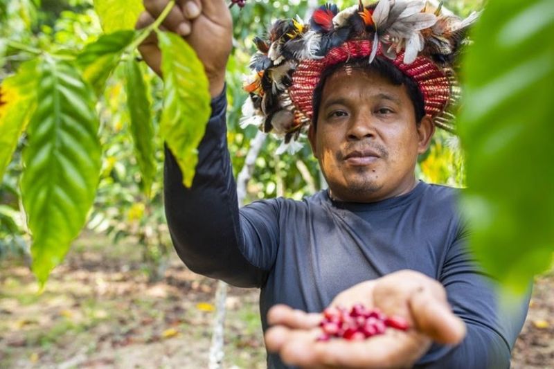 Conab e BNDES Anunciam Resultados da Chamada Amazônia Viva
