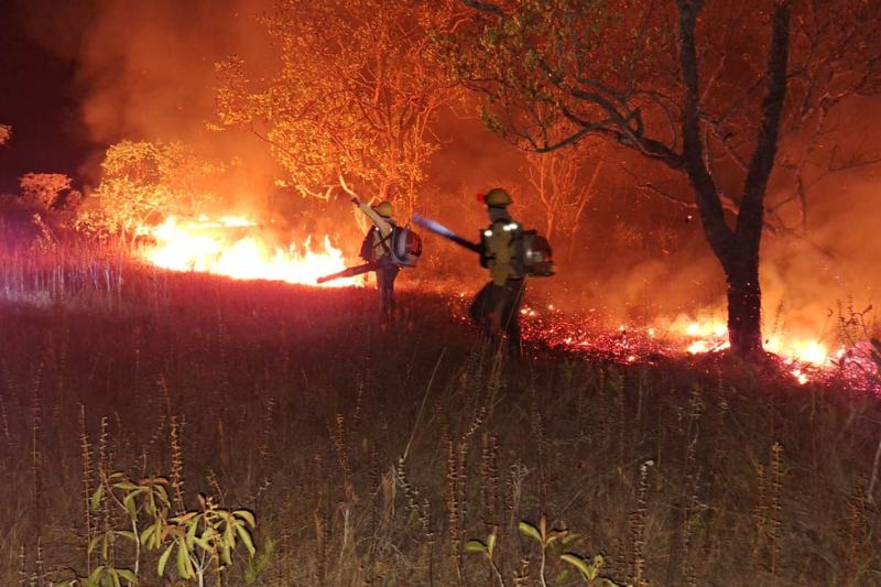 Governo do Amazonas dispensa equipe federal para combate a incêndios