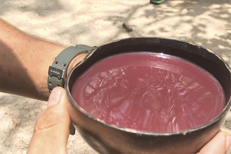 Rede Puro.Açaí oferece 500 quilos de açaí se Brasil conquistar o hexa