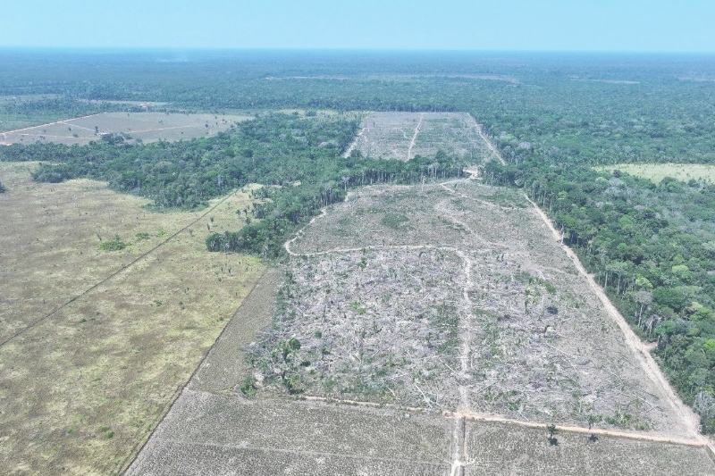 Projeção aponta que 70% dos parlamentares em 2027 são contra agenda ambiental