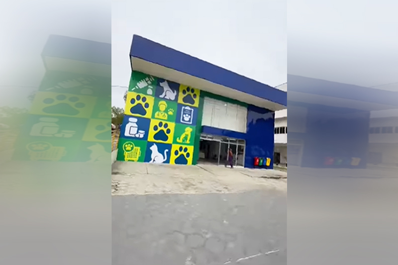 Juíza ordena remoção de vídeos de candidatos em hospital veterinário