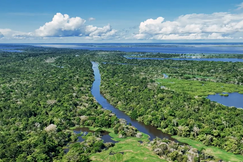 Educação climática avança em escolas da Amazônia e Maranhão