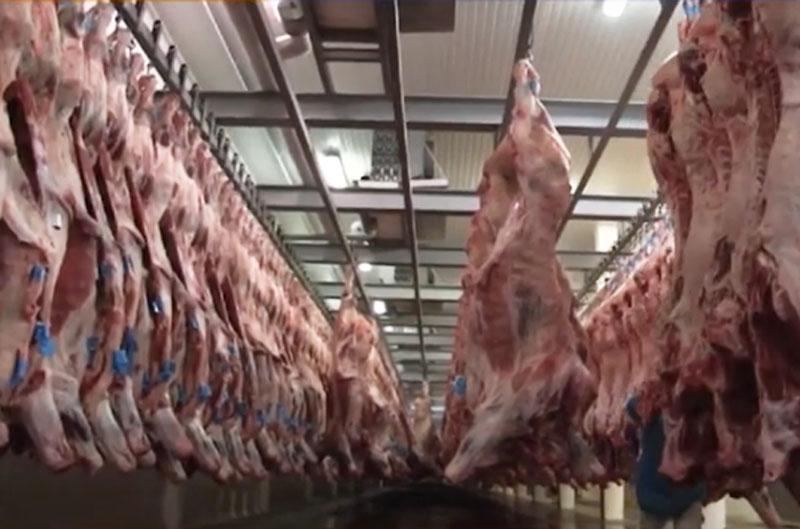 Brasil alcança 65,4% da cota de carne bovina para a China em 2026