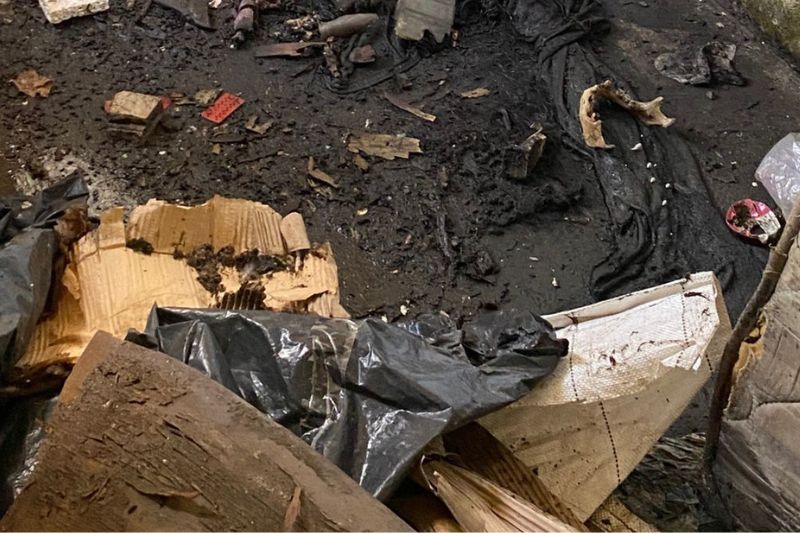 Ossada humana é encontrada no antigo edifício dos Correios em Manaus