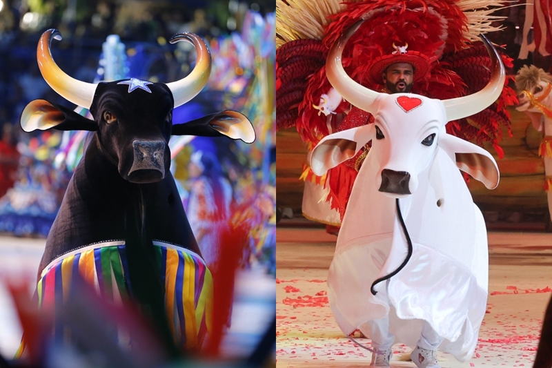 Festival de Parintins: Encerramento Brilhante dos Bumbás com Cultura e Emoção