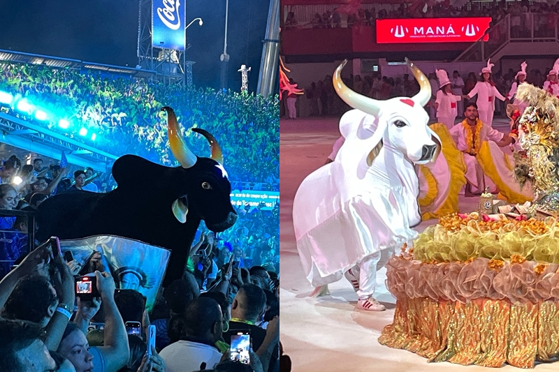 Caprichoso e Garantido prometem espetáculo no Festival de Parintins
