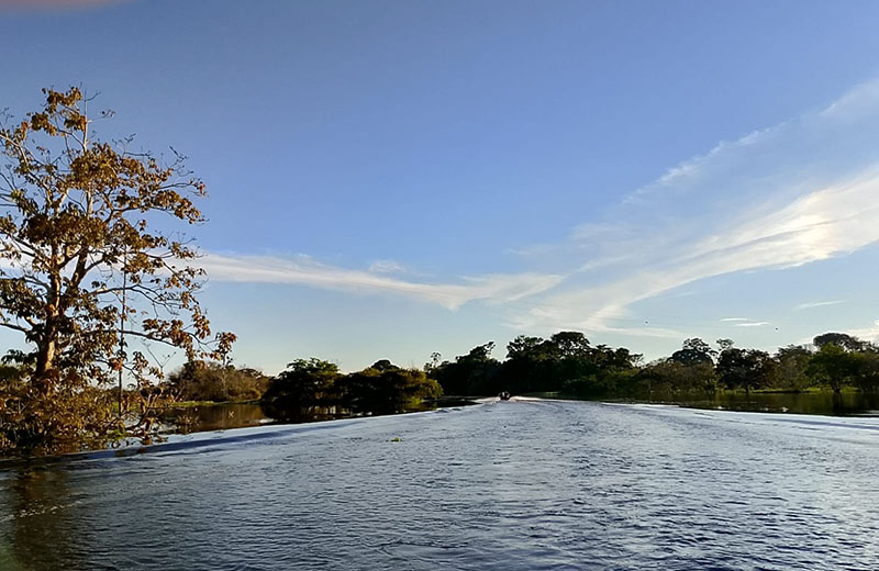 Amazonas é o 3º estado com melhor democracia ambiental na Amazônia Legal