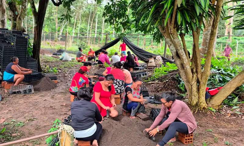 Mulheres da Amazônia se mobilizam contra mudanças climáticas