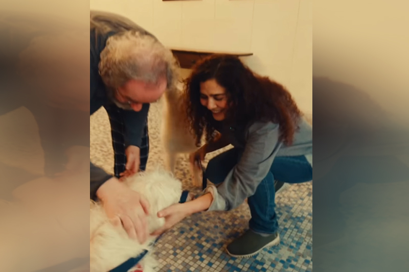 Leticia Sabatella comemora reencontro emocionante com o cão Bertoldo