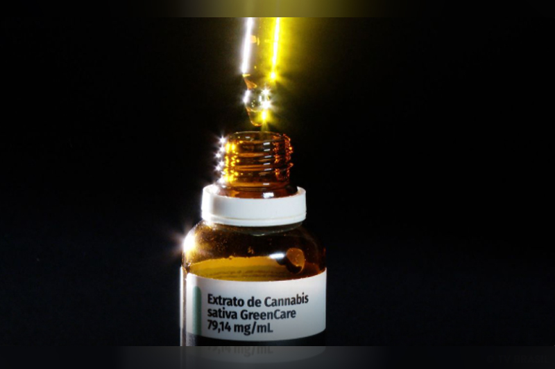 Anvisa registra aumento de 29% nas importações de produtos de cannabis