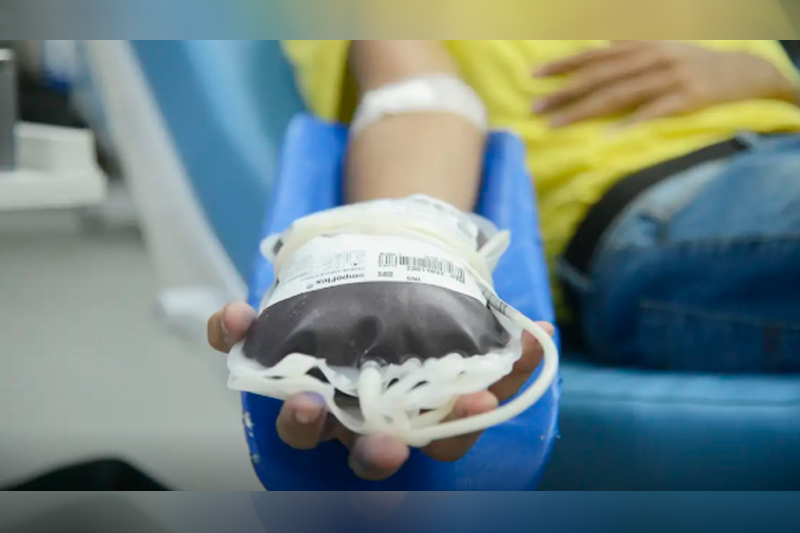 Ministério da Saúde autoriza doação de sangue para maiores de 70 anos