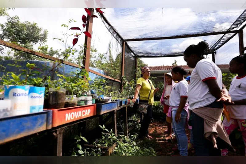 MEC Lança Política Nacional de Educação Ambiental nas Escolas Brasileiras