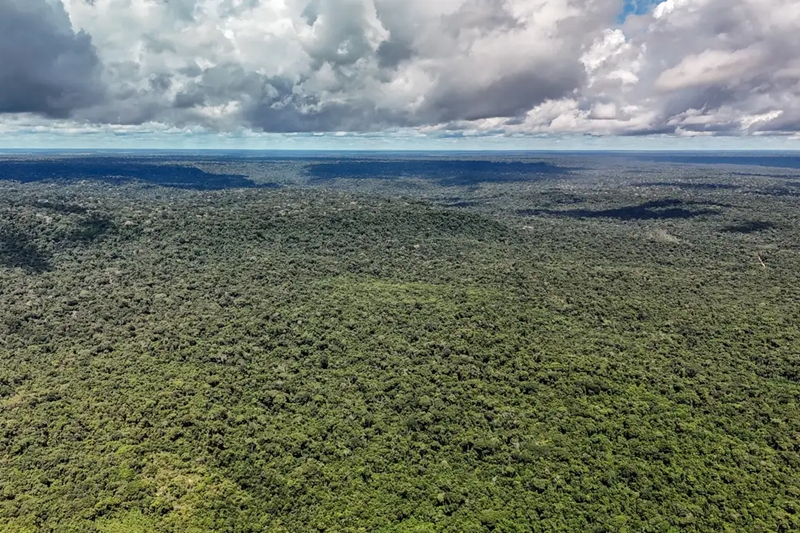 Devastação da Amazônia ameaça maior máquina de chuva do planeta