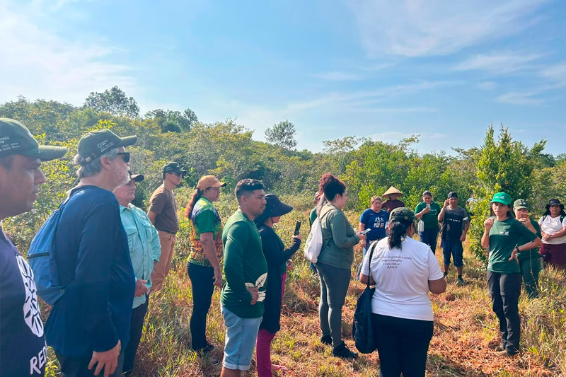 Eneva contribui com mais de 400 hectares para restauração na Amazônia