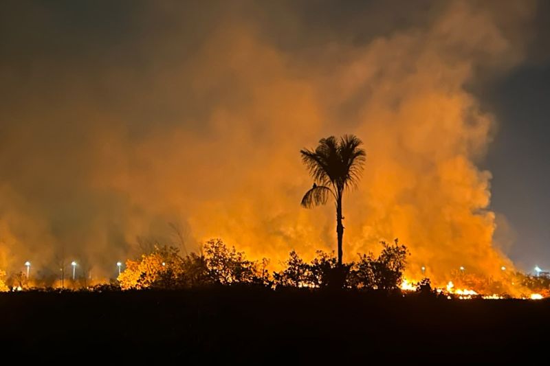 Incêndio devasta floresta em Iranduba, destruindo área de 50 campos de futebol