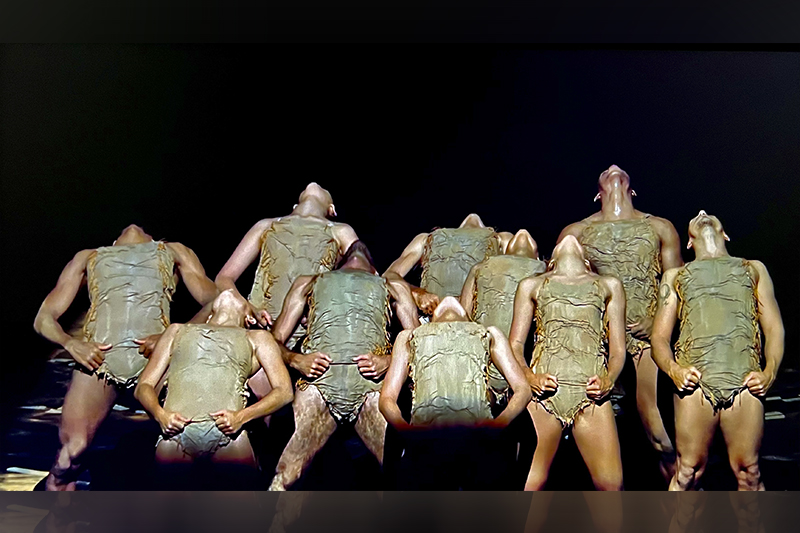Dança revela impactos da perda da vegetação do Cerrado em Manaus