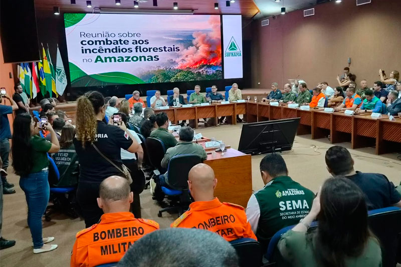 Ministro revela que Amazonas responde por 25% dos incêndios no Brasil