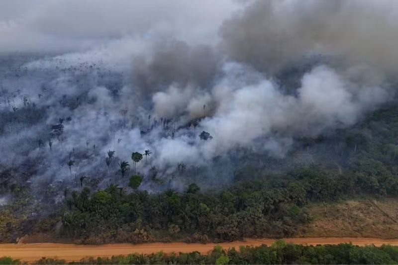 Amazônia: Queimadas e desmatamento elevam emissões de carbono
