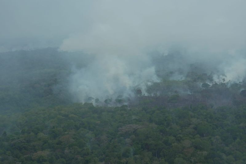 Focos de calor no Amazonas aumentam 295,5% em setembro, diz Inpe