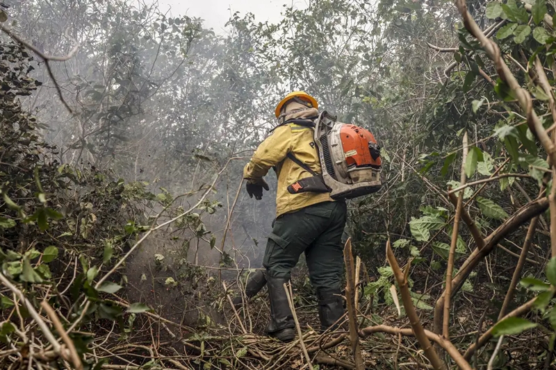 Incêndios no Amazonas são causados por ação humana, afirma ministro