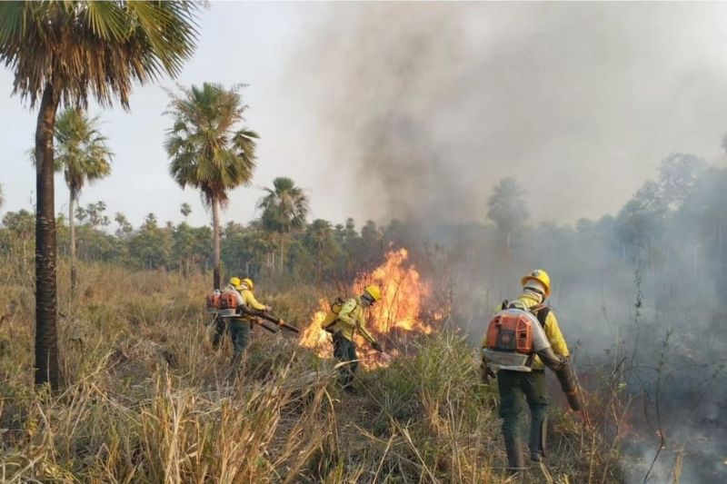 MPAM investiga queimadas em áreas protegidas do Amazonas