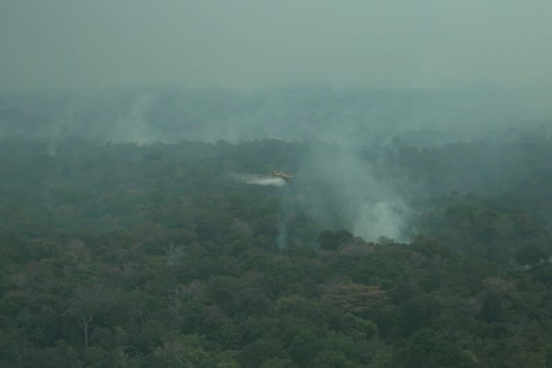 Queimadas no Amazonas e Fumaça em Manaus: O Impacto e as Causas