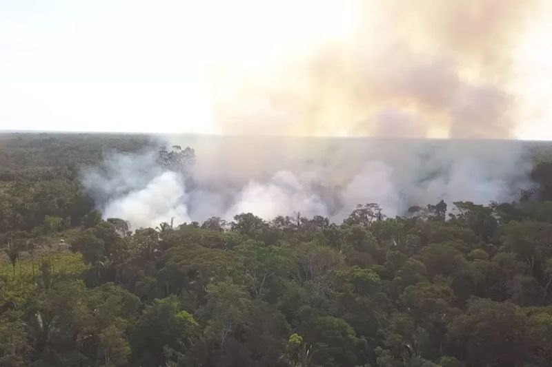 Lábrea é o município com mais queimadas no Amazonas e 4º no Brasil