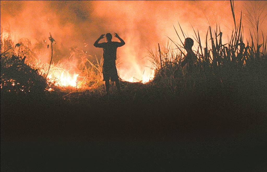 Reunião na Suframa busca intensificar combate a incêndios no Amazonas