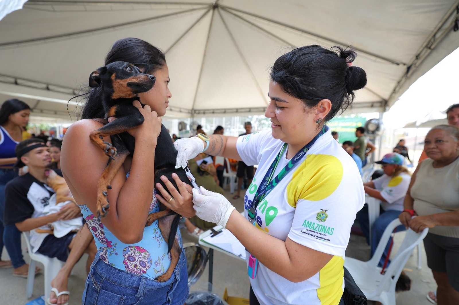 Vacinação Antirrábica e Castração em Manaus nesta Sexta-Feira