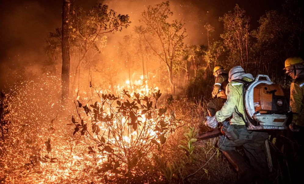 Governo Federal Envia Brigadistas e Aeronaves para Combater Queimadas em Manaus