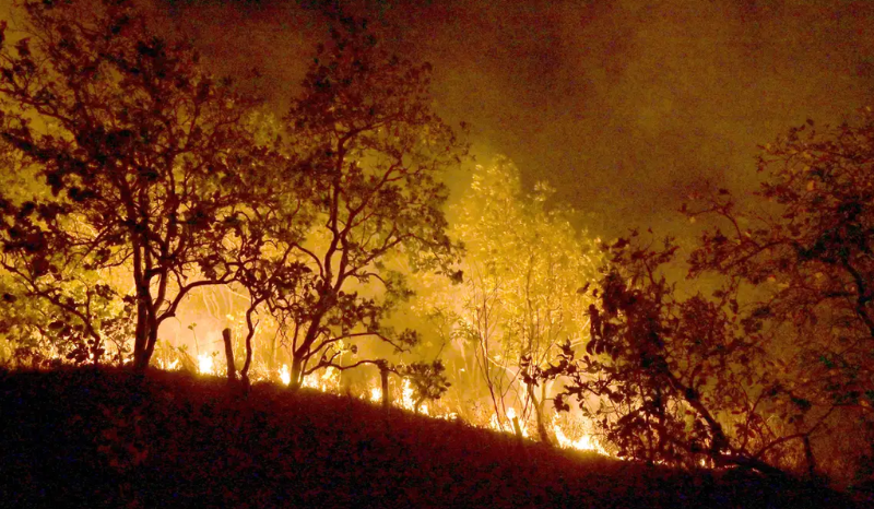 Amazonas registra 1.372 focos de incêndio em apenas 12 dias de outubro