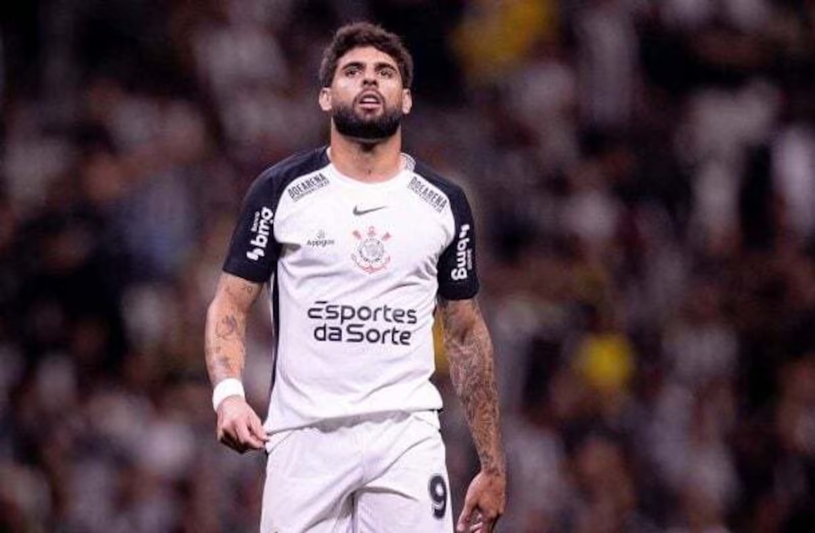 Botafogo e Corinthians jogam pela 16ª rodada do Brasileirão no Nilton Santos