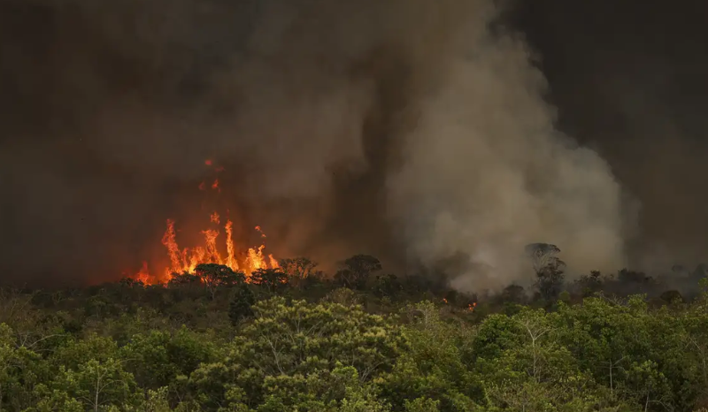 Estado do Amazonas declara emergência em 36 cidades por queimadas