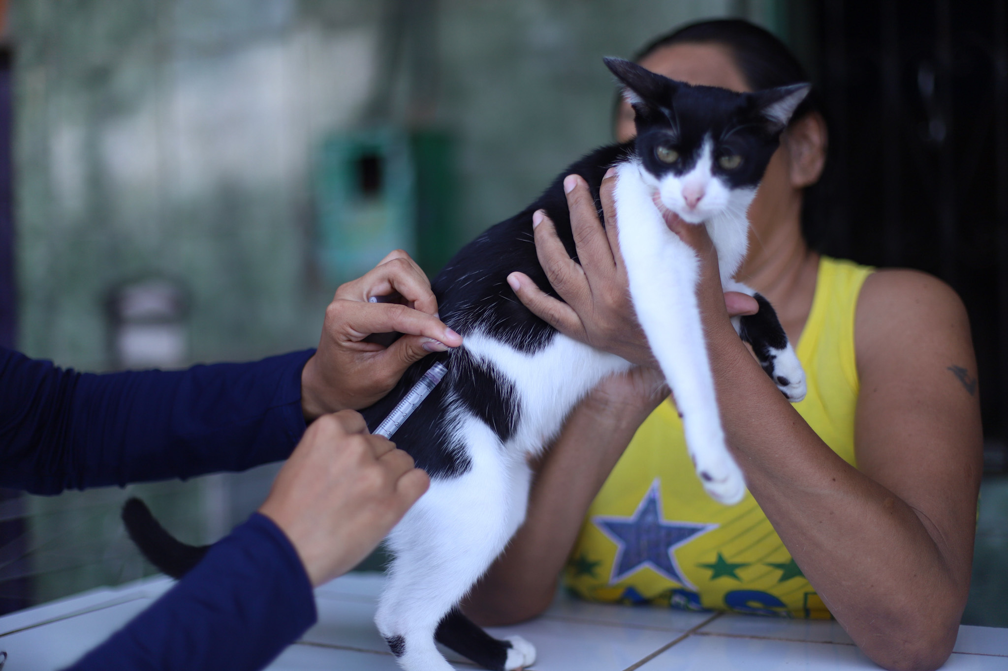 Campanha de Vacinação Antirrábica em Manaus segue até 30 de novembro
