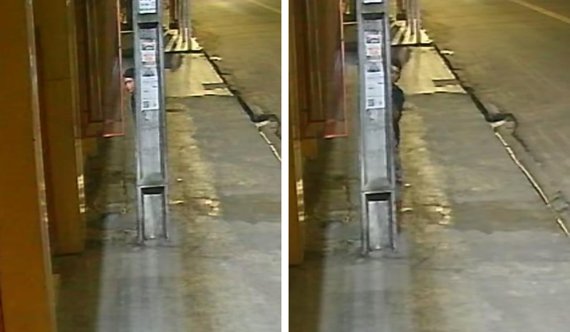 Homem corta cabos de pizzaria e invade padaria na Cidade Nova, em Manaus