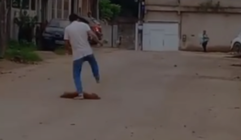 Homem é baleado pela PM após agredir ex-esposa e matar cão em SP