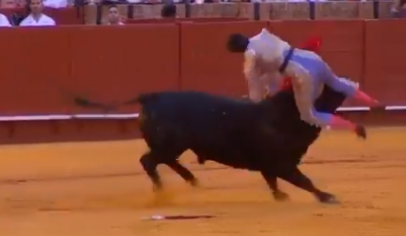 Toureiro Andrés Roca Rey sofre ferimento grave em tourada em Sevilha