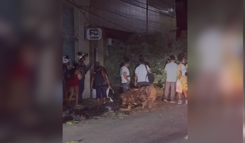 Caminhão provoca queda de árvore e fiação elétrica no Centro de Manaus