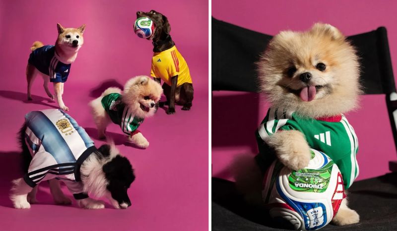 Adidas apresenta camisas da Copa do Mundo de 2026 para pets