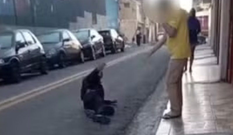 Criminoso é baleado durante assalto a mercado e pede desculpas ao comerciante